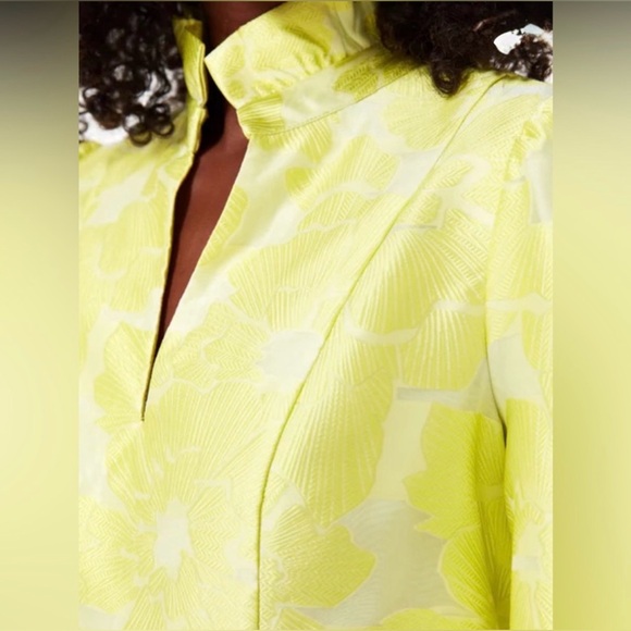 Tuckernuck Citron Fil Coupe Palmerston Dress - Picture 2 of 6